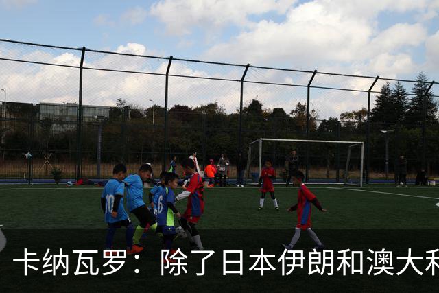 卡纳瓦罗：除了日本伊朗和澳大利亚 所有亚洲球队都需要进步